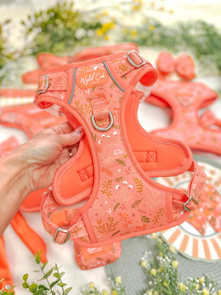 Step & Switch® Dog Harness: Chiswick Papaya
