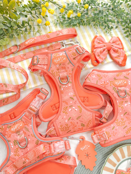 Step & Switch® Dog Harness: Chiswick Papaya