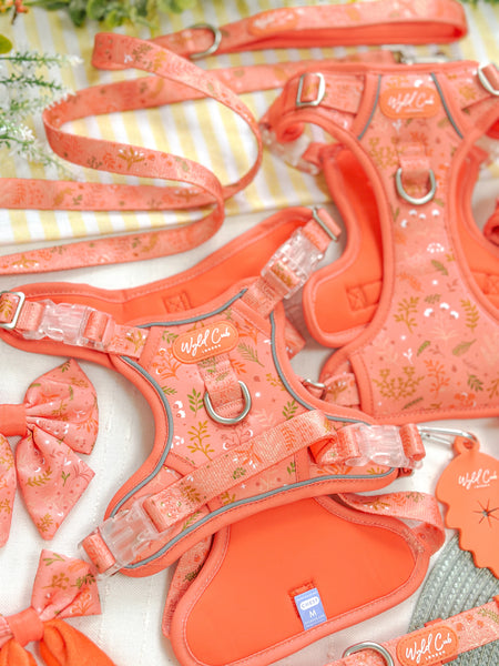 Step & Switch® Dog Harness: Chiswick Papaya