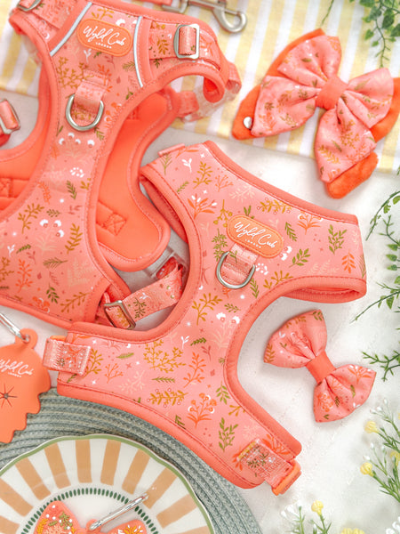 Adjustable Dog Harness: Chiswick Papaya