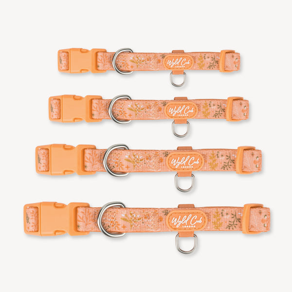 Adjustable Dog Collar: Chiswick Papaya