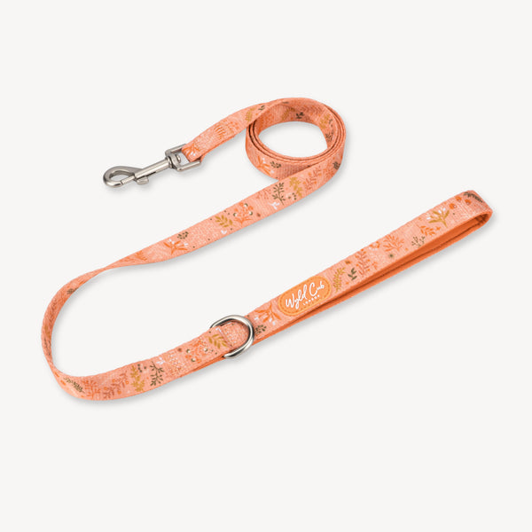 Dog Lead: Chiswick Papaya