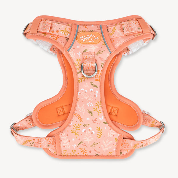 Step & Switch® Dog Harness: Chiswick Papaya