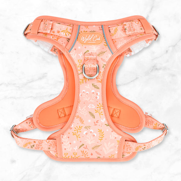 Step & Switch® Dog Harness: Chiswick Papaya