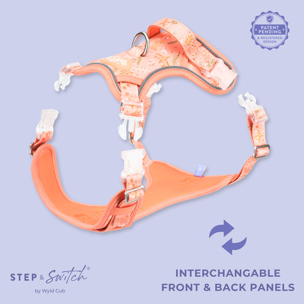 Step & Switch® Dog Harness: Chiswick Papaya
