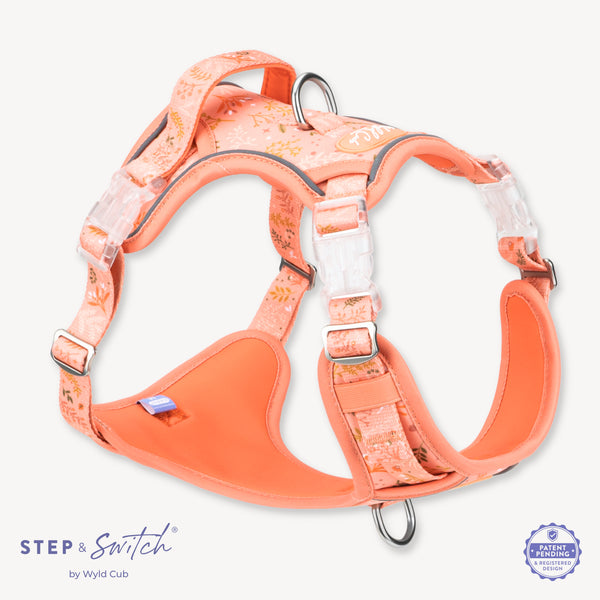 Step & Switch® Dog Harness: Chiswick Papaya