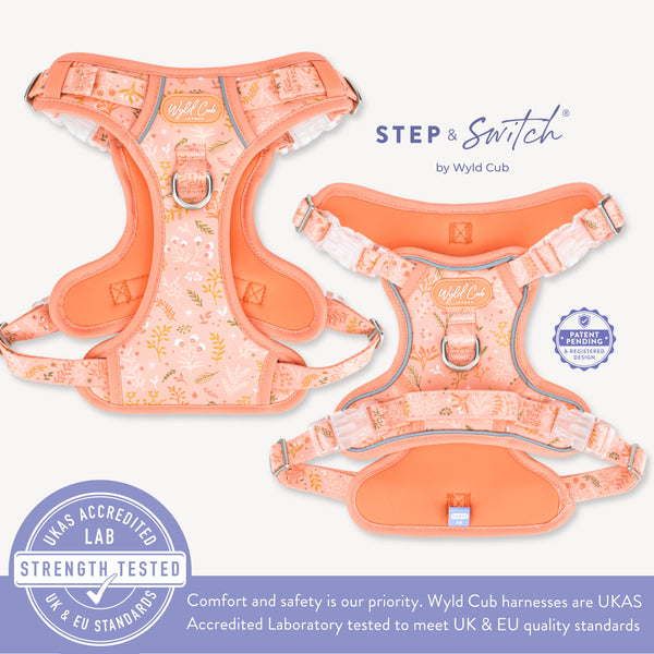 Step & Switch® Dog Harness: Chiswick Papaya