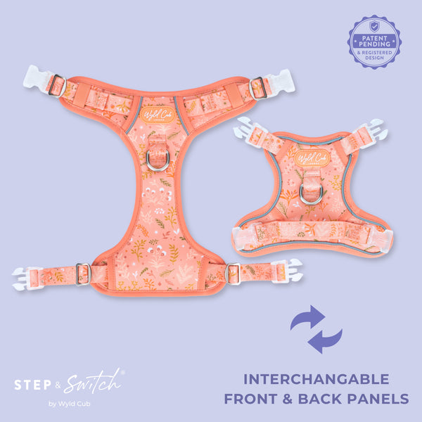 Step & Switch® Dog Harness: Chiswick Papaya