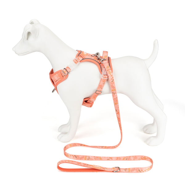 Step & Switch® Dog Harness: Chiswick Papaya