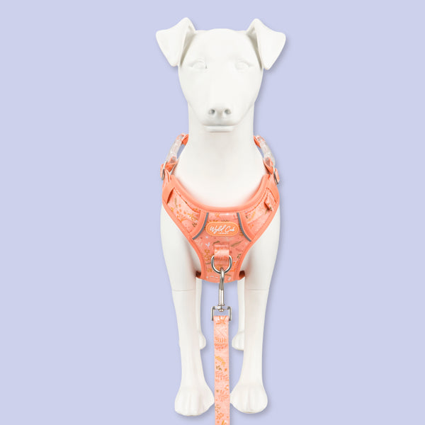 Step & Switch® Dog Harness: Chiswick Papaya