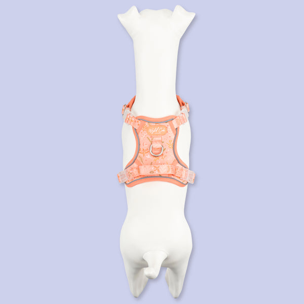 Step & Switch® Dog Harness: Chiswick Papaya