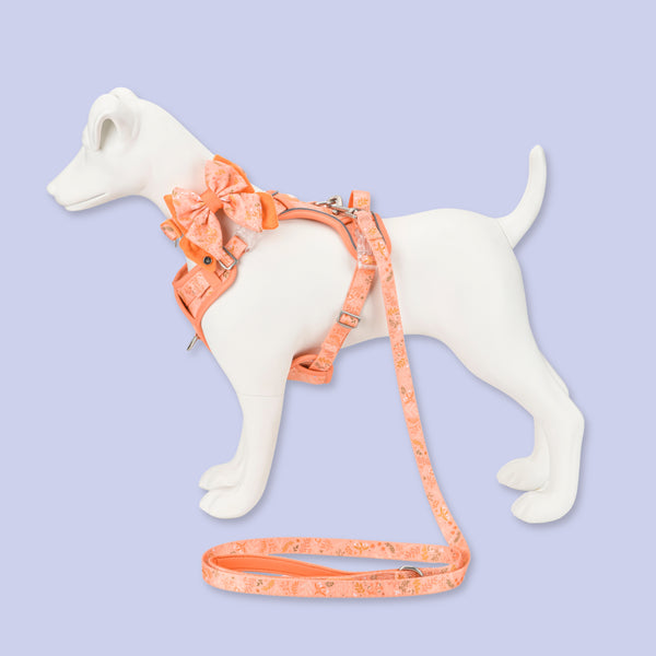 Dog Butterfly Bow: Chiswick Papaya