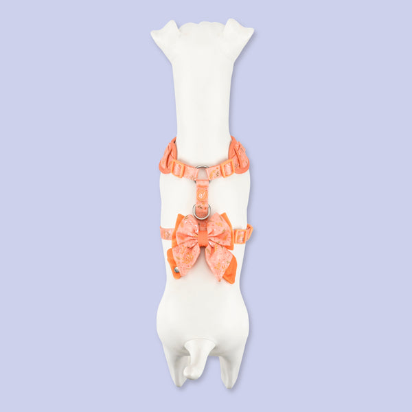 Adjustable Dog Harness: Chiswick Papaya
