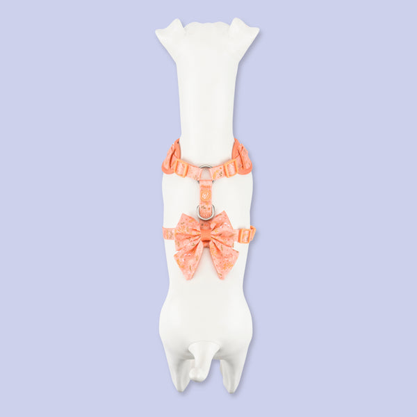 Dog Sailor Bow: Chiswick Papaya