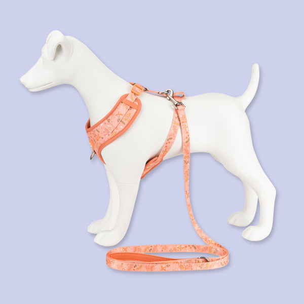 Dog Lead: Chiswick Papaya