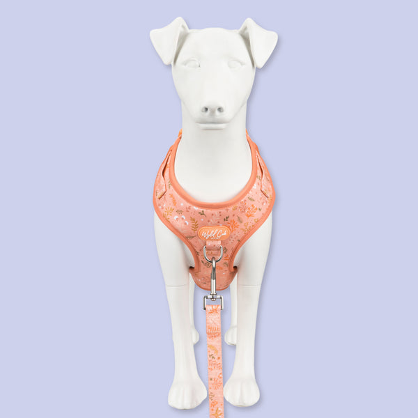 Adjustable Dog Harness: Chiswick Papaya
