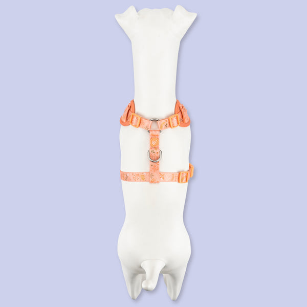 Adjustable Dog Harness: Chiswick Papaya