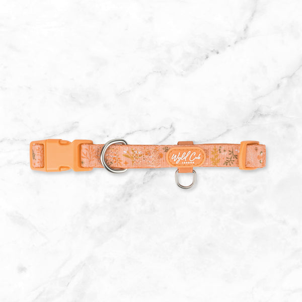 Adjustable Dog Collar: Chiswick Papaya