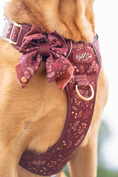 Step & Switch® Dog Harness: Chiswick Chestnut