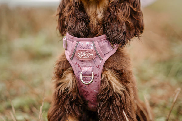 Step & Switch® Dog Harness: Chiswick Rosewood