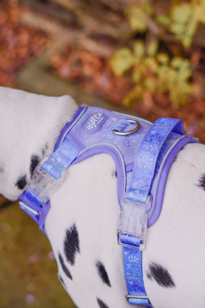 Step & Switch® Dog Harness: Chiswick Aeris