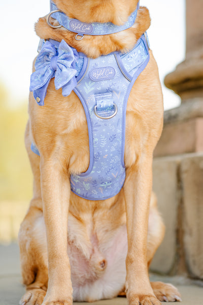 Step & Switch® Dog Harness: Chiswick Aeris