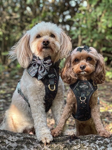 Step & Switch® Dog Harness: Chiswick Ravenwood