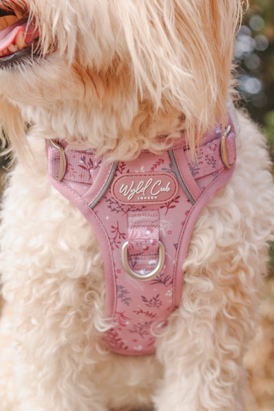 Step & Switch® Dog Harness: Chiswick Rosewood