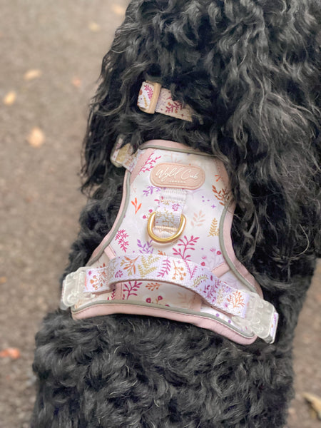 Step & Switch® Dog Harness: Chiswick Oyster