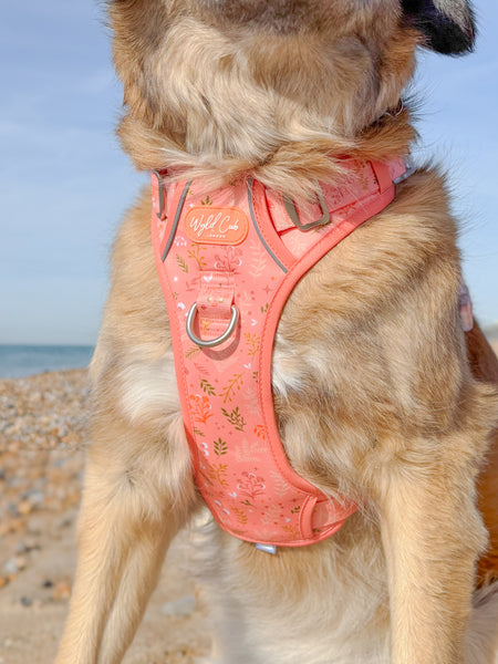 Step & Switch® Dog Harness: Chiswick Papaya