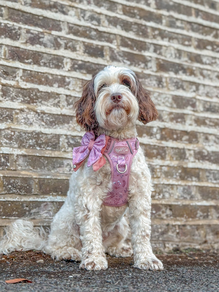 Dog Butterfly Bow: Chiswick Rosewood