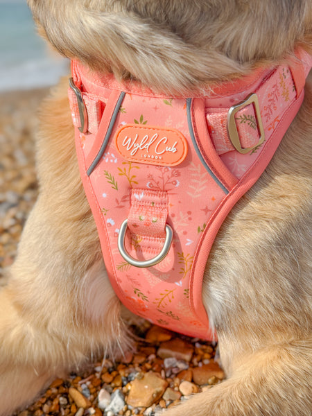 Step & Switch® Dog Harness: Chiswick Papaya