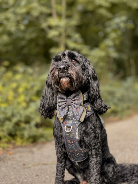 Step & Switch® Dog Harness: Chiswick Ravenwood