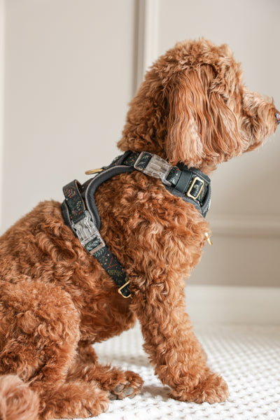 Step & Switch® Dog Harness: Chiswick Ravenwood