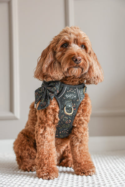 Step & Switch® Dog Harness: Chiswick Ravenwood