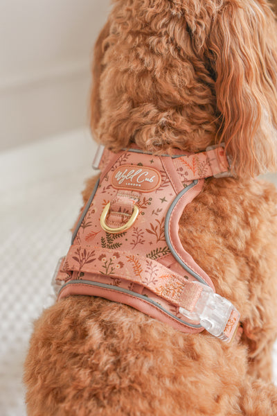 Step & Switch® Dog Harness: Chiswick Nutmeg