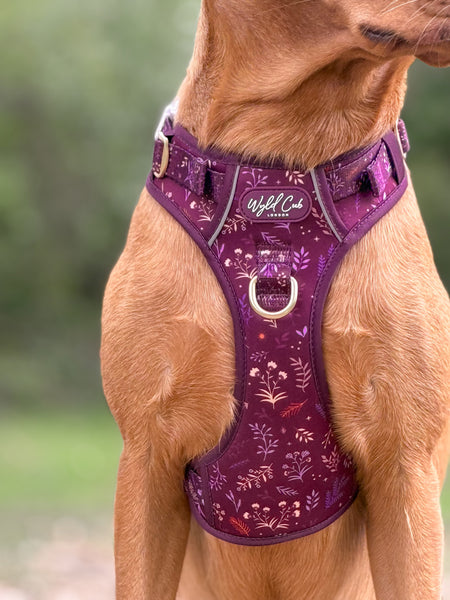 Step & Switch® Dog Harness: Chiswick Fig