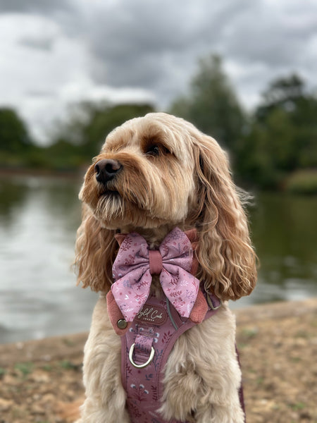 Dog Butterfly Bow: Chiswick Rosewood