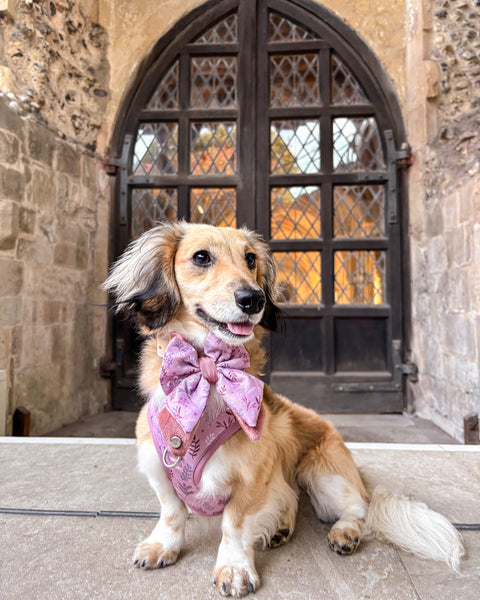 Adjustable Dog Harness: Chiswick Rosewood