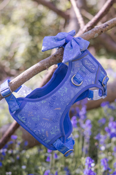 Dog Sailor Bow: Chiswick Aeris