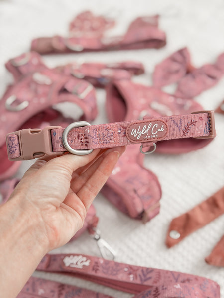 Adjustable Dog Collar: Chiswick Rosewood