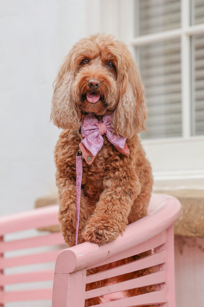 Dog Butterfly Bow: Chiswick Rosewood