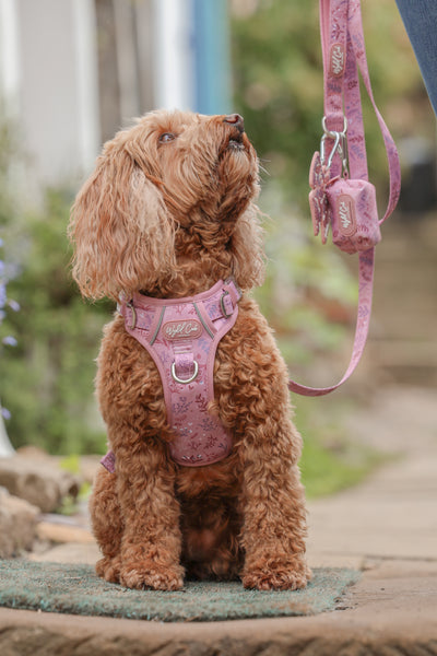 Dog Poop Bag Holder: Chiswick Rosewood