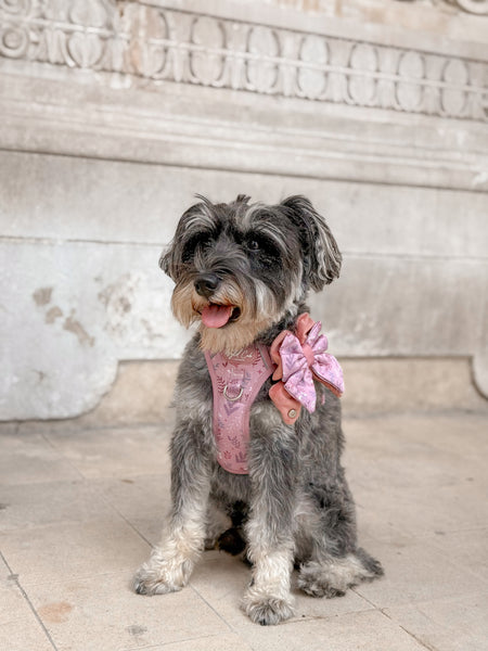 Step & Switch® Dog Harness: Chiswick Rosewood