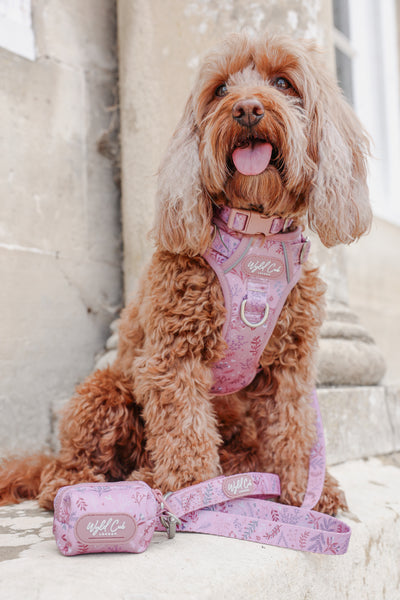 Dog Poop Bag Holder: Chiswick Rosewood