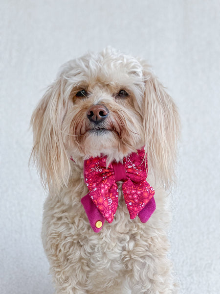 Dog Butterfly Bow Tie: Notting Hill Raspberry