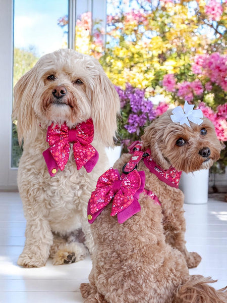 Dog Butterfly Bow Tie: Notting Hill Raspberry