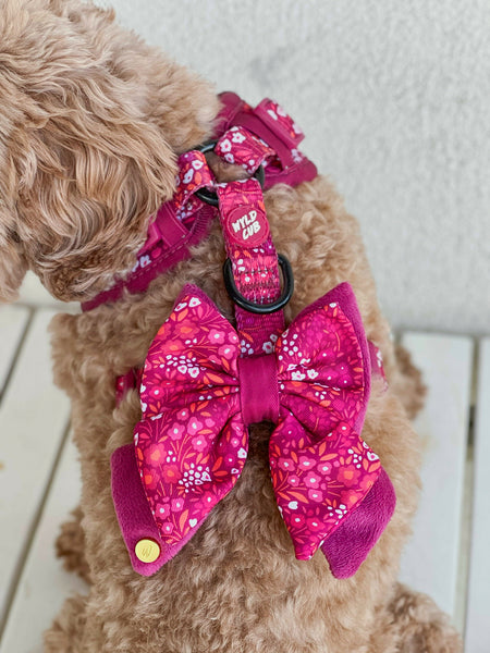 Dog Butterfly Bow Tie: Notting Hill Raspberry