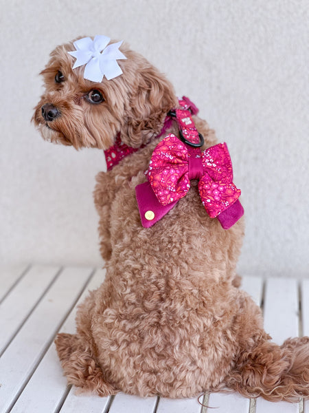 Dog Butterfly Bow Tie: Notting Hill Raspberry
