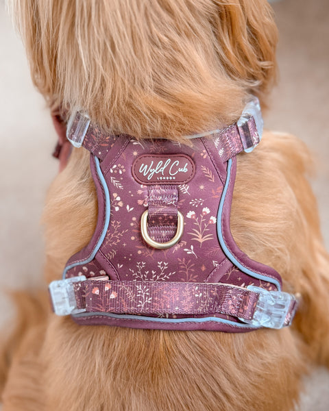 Step & Switch® Dog Harness: Chiswick Chestnut